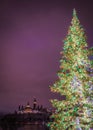 Illuminated festive Christmas tree, Parliament Hill, Ottawa, Gatineau, Canada Royalty Free Stock Photo