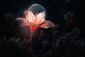 an illuminated flower is set on a dark night background with a bright light Royalty Free Stock Photo