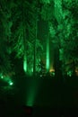 Illuminated forest at CHRISTMAS GARDEN