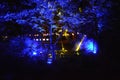 Illuminated Forest at Night