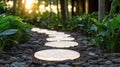 Illuminated garden path through lush greenery Royalty Free Stock Photo