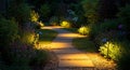 Illuminated Garden Pathway at Night Royalty Free Stock Photo