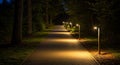 Illuminated Garden Pathway at Night Royalty Free Stock Photo
