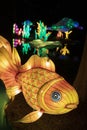 Illuminated gold fish display Royalty Free Stock Photo