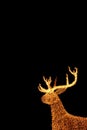 Illuminated Golden Christmas Reindeer Shaped Outdoor Decoration Lights Royalty Free Stock Photo