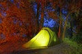 illuminated green tent at night forest , Desna river