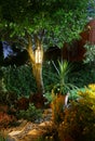 Illuminated home garden path patio autumn evening Royalty Free Stock Photo