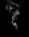 Illuminated incense, black and white photography of smoke. Dark background.