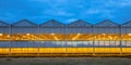 Illuminated industrial greenhouse