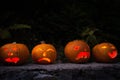 Illuminated Jack-O-Lantern family visiting the Black Forest