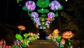 Illuminated Lantern Festival at night