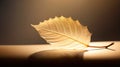 Illuminated Leaf: A Captivating Still Life AI Generated Royalty Free Stock Photo