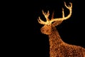 Illuminated LED String Gold Giant Reindeer of Outdoor Christmas Decoration Against Night Sky