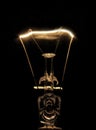 Illuminated light bulb