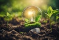 Illuminated light bulb on soil with green leaves around. Royalty Free Stock Photo