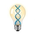 Illuminated Lightbulb with DNA Helix Inside Royalty Free Stock Photo