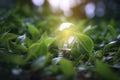 Illuminated Lightbulb in Green Leaves Royalty Free Stock Photo