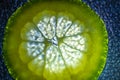 Illuminated lime fruit sclice on textured background Royalty Free Stock Photo