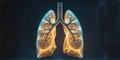 Illuminated Lungs Structure on Dark Background. Royalty Free Stock Photo