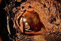 Illuminated Mine Shaft Tunnel With Winding Path Royalty Free Stock Photo