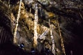 Illuminated multicolored stalactites in cave HAN-SUR-LESSE
