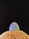 Illuminated natural crystall egg on soft sand, portrait