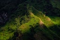 Illuminated Nepali mountain forests by the sunlight,near Tatopani, with green slopes on a cloudy day Royalty Free Stock Photo