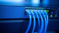 Illuminated Network Switch with Multiple Blue Ethernet Cables for High-Speed Data Transfer Royalty Free Stock Photo