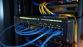 Illuminated network switch with multiple blue and yellow cables connected, indicating active data flow. Royalty Free Stock Photo