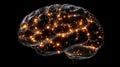 Illuminated Neural Network Brain Structure