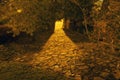 Illuminated night path