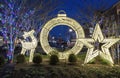 Illuminated Outdoor Holiday Lights Virginia