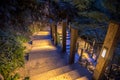 Illuminated outdoor Staircase