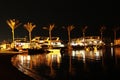 Illuminated palm trees and yachts reflected in sea surface in night Royalty Free Stock Photo