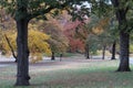 The illuminated path between the colorful trees in Central Park