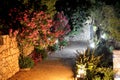 Illuminated path at luxury hotel and Bougainvillea flowers