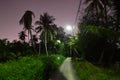 Illuminated path through the night jungle