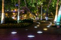 Illuminated path in the park between palm trees at night