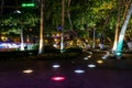 Illuminated path in the park between palm trees at night