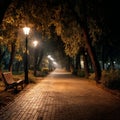 Illuminated pathway in park at night with benches and trees Royalty Free Stock Photo