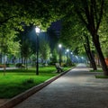 Illuminated pathway through park at night with benches and trees Royalty Free Stock Photo