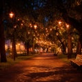 Illuminated pathway in park at night with trees and benches seen Royalty Free Stock Photo