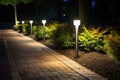 an illuminated pathway with solar stake lights at night