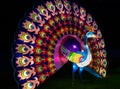 Illuminated Peacock lantern