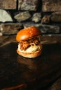 Illuminated photo of american hamburger with chuck roll meat, cheddar cheeese and other ingredietns on dark background