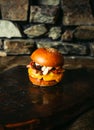 Illuminated photo of american hamburger with chuck roll meat, cheddar cheeese and other ingredietns on dark background