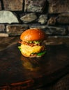 Illuminated photo of american hamburger with chuck roll meat, cheddar cheeese and other ingredietns on dark background