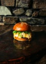 Illuminated photo of american hamburger with chuck roll meat, cheddar cheeese and other ingredietns on dark background