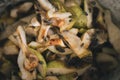 Illuminated photo of bees and flies eating old and rotten apples and pears in the slop pail. Group of insects on the overriped