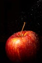 Illuminated red apple, on black background with micro drops of water falling, vertically,